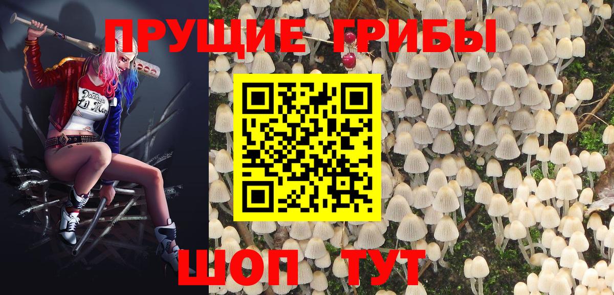 Лянтор  Галлюциногенные грибы прущие грибы  Вход с VPN 
