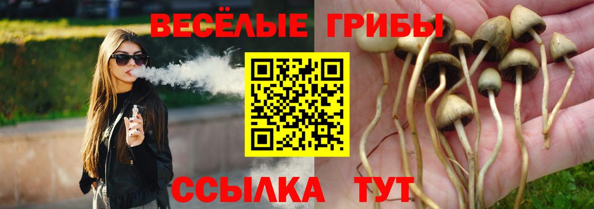 Галлюциногенные грибы мухоморы Лянтор